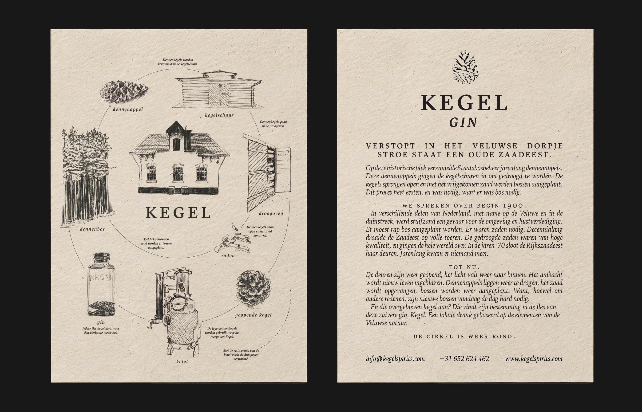 Kegel, image 4